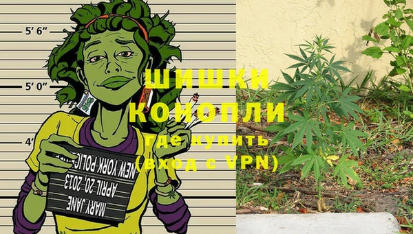 крисы Краснотурьинск