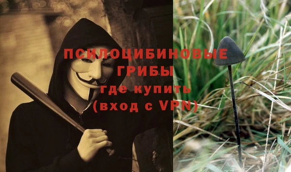шишки Красноперекопск