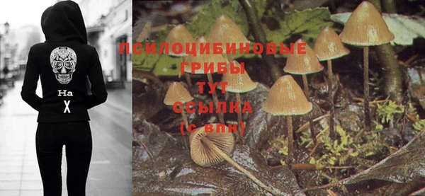 прущие крисы Краснослободск