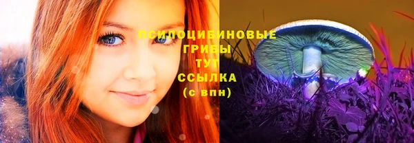 прущие крисы Краснослободск