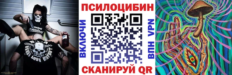 где найти   Заволжск  Псилоцибиновые грибы Psilocybine cubensis 